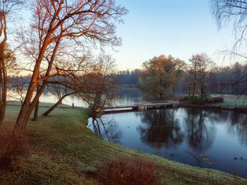 Осенний рассвет в Дворцовом парке. Гатчина. / Дворцовый парк в Гатчине ранним морозным утром.