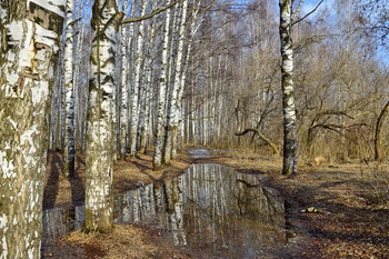 Весна... / ***