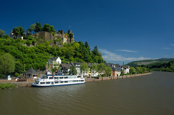 &nbsp; / --------------