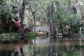 Озеро в Magnolia plantation, Charleston, South Carolina / ооо