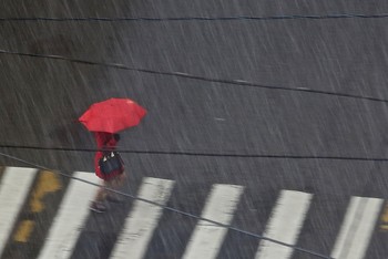 дождь / Москва