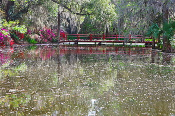 Красный мост на озере в Magnolia plantation, Charleston, South Carolina / ***