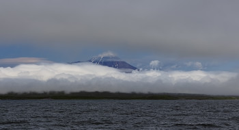 вершина / Туманное утро у южного берега Камчатки