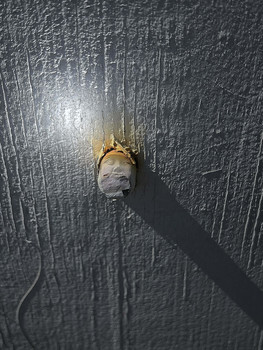 &nbsp; / Du tauchst auf