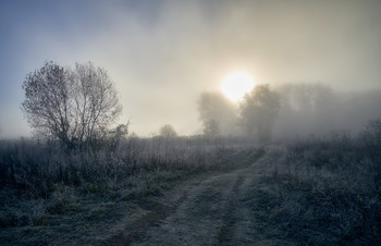 Октябрьские туманы / Осень 2020