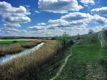 Речушка / Речушка,берег,тропинка,деревья,облака