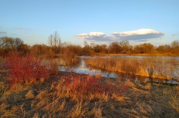 Запоздалая весна / Запоздала весна, вероятно, простыла в пути и неспешно приходит в себя