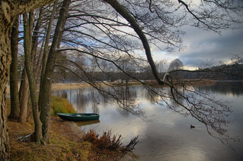 хмурое утро / на озере