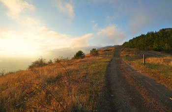 Вечер в ноябре / Осенний вечер