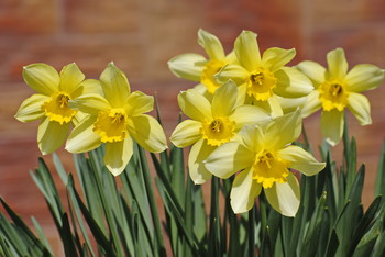 Немного позитива после хмурых дней / ***