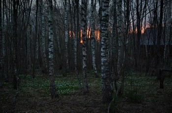 Сумерки ... / "Я без грусти в свой дом впускаю,
Без предательства и обмана,
Коль уходите - отпускаю
Не прошу показать карманы...
Что-то взяли себе? Ради Бога ...
Я в хорошее в людях верю,
Но входя - вытирайте ноги!
Уходя - закрывайте двери!"
Ю.Олифер