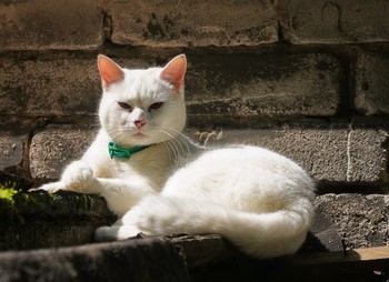 Приемный день / Какая осанка!