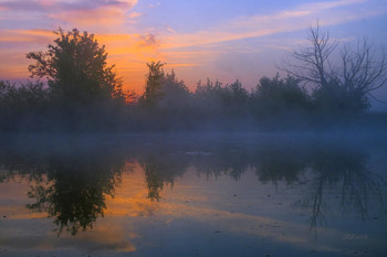 Тишина. / Летний рассвет на озере Студёное.