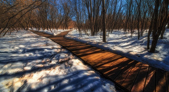 Развилка. / Парк.