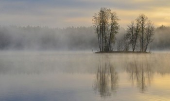 Утром весенним..... / Петербург. Осиновая Роща. Май