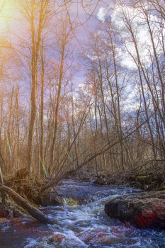 ГОРНАЯ РЕКА / У горной реки
Присяду на камень у речки бурлящей,
несётся огромный поток...
Направленной мощи воды говорящей,
старается сделать виток...

Где тысячи брызг разбросали прохладу,
и свежесть коснулась лица...
Тебе благодарна за эту награду,
подарок от друга-гонца.

От бешеной страсти стираются камни,
взрывается горный курум...
Частиц мириады, фонтан полигамный,
меня очищает от дум.

Энергией силы река заряжает,
вливается в вены мои...
Желанием жить, побеждать наполняет,
в земные врезаясь слои...
Автор: dyatlova1962