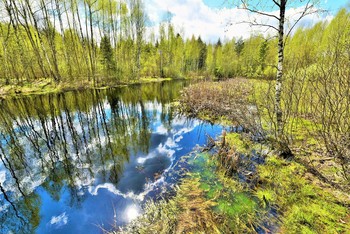 &quot;И в речке отражение весны ...&quot; / &quot;И в речке отражение весны,
 В ней небо с проседью летает
 И я, боясь ступить на облака
 По краю, как над пропастью шагаю ...&quot;