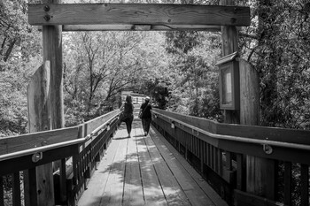 Дзен / Две фигуры на мосту