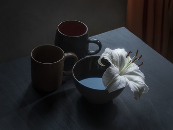 сумерки / лилия