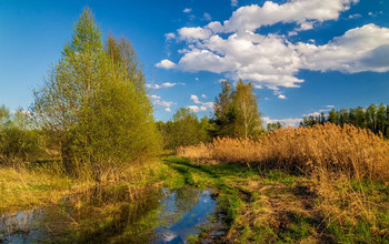 Майский вечер # 03 / 07 мая 2021. Восток Московской области, Дрезна, вечер.