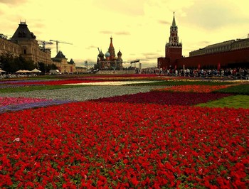 МОЙ ГОРОД. / КРАСНАЯ ПЛОЩАДЬ.