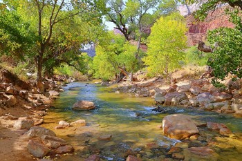 Река Вирджиния / Национальный парк Зайон