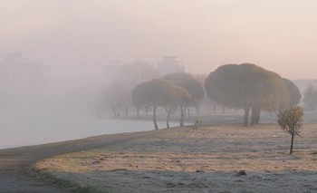 Утренний туман... / ***