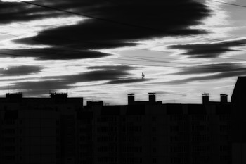 Пролетая над городом / Описание*