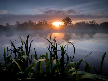 Берег рассвета... / ***