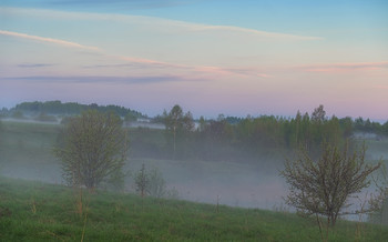 Туманные перелески / Сюжеты весны