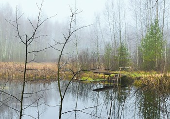 &quot;Заплаканная осень, как вдова в одеждах черных...&quot; / &quot;Заплаканная осень, как вдова
 В одеждах черных, все сердца туманит ...
 Перебирая мужнины слова,
 Она рыдать не перестанет.
 И будет так, пока тишайший снег
 Не сжалится над скорбной и усталой ...&quot;
 А.Ахматова