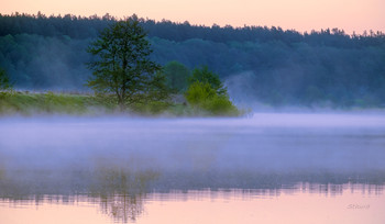 На озере туман. / Весеннее утро, озеро Сосновое. Мещера.