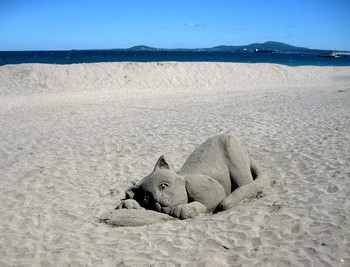 Котик на пляже.. / пляж /пока пустой/, море, песок, скульптура из песка