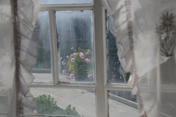 А за окном цветут пионы / Из серии&quot;Про опустевший дом&quot;