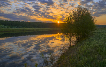 Озеро Сосновое. / Весеннее утро.