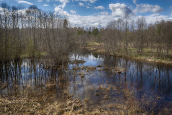 Половодье / весна