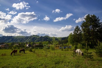 В деревне / В деревне