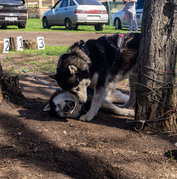 &nbsp; / повернись бочком