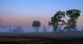 Утро в поле. / Весенний туман.