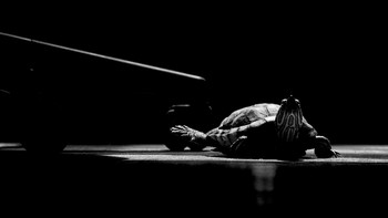 На солнышке / Описание*