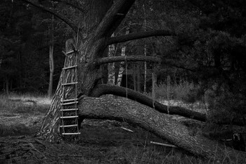 &nbsp; / Playground left abandoned in the middle of a forest.