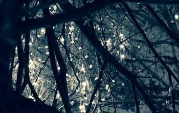 &nbsp; / over darkness