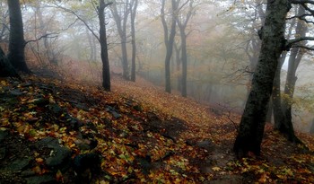 На горных склонах...... / Железноводск. Октябрь