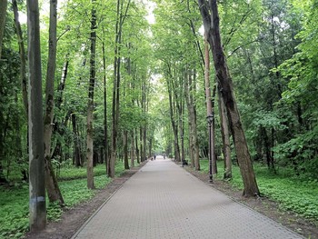 &nbsp; / Светлый майский день в Филевском парке Москвы