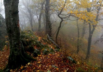 Туманным утром....... / Железноводск. Октябрь