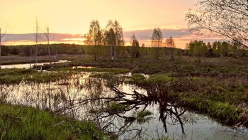 Последнее майское утро / Последнее майское утро