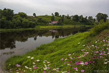 Лето в Торжке / ***