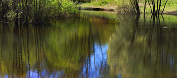 Панорама в парке Кусково... / &quot; Сухой пруд &quot; весной...