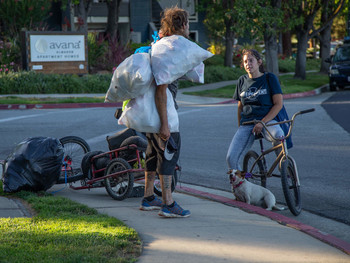 Не кудрявая жизнь / .....э.
