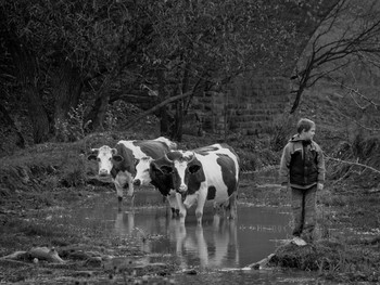 &nbsp; / Описывать фото словами??? Может ещё объяснять смысл анекдотов